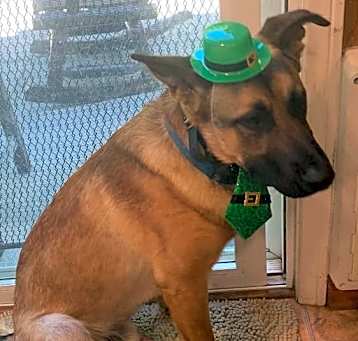 Photo of Skippy