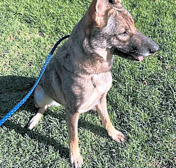 Photo of Okie