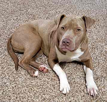 Photo of Tank