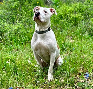 Photo of Cyrus