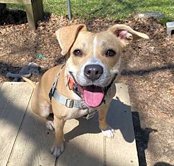 Photo of Mama Scout