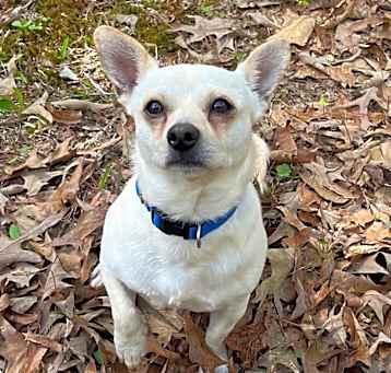 Photo of Paco
