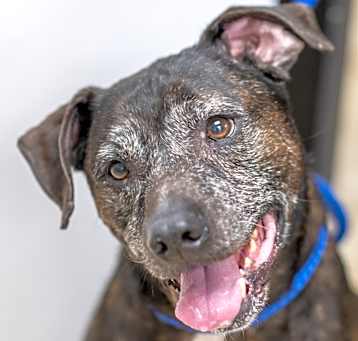 Photo of WINSTON-29707