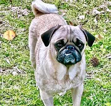 Photo of Addie