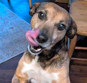 Photo of Bugsy