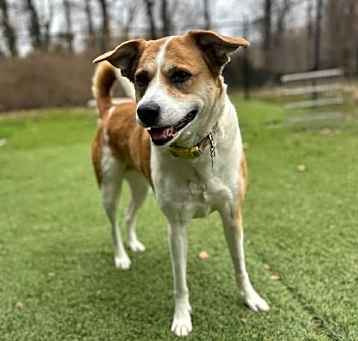 Photo of Penny
