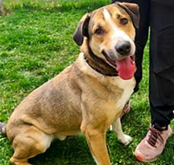 Photo of COPPER