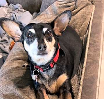 Photo of Munch