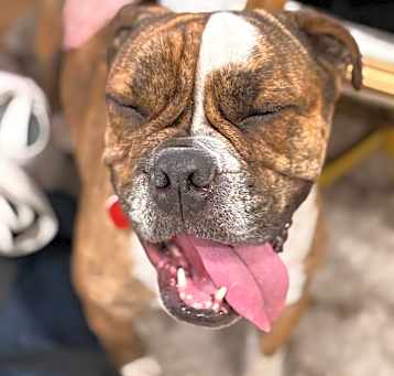 Photo of Cooper