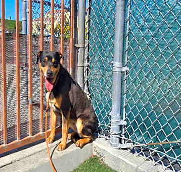 Photo of NALA