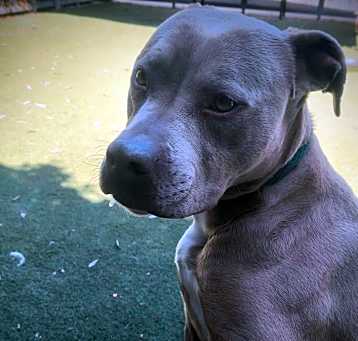 Photo of COOKIE