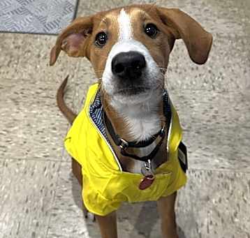 Photo of Addie Wafer *LOCAL*