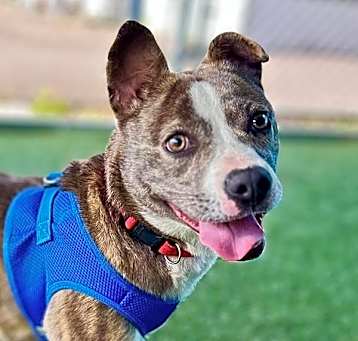 Photo of Deja