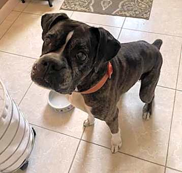 Photo of Louie F25-008