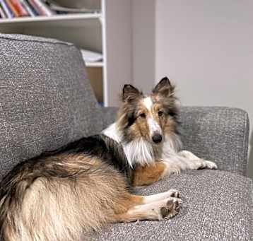 Photo of Charlie