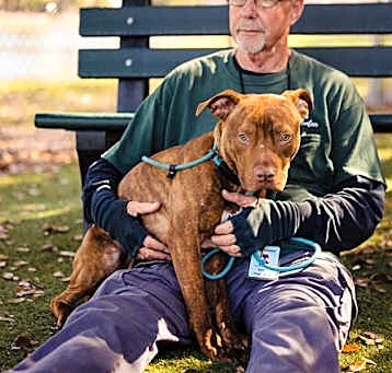 Photo of *ACE