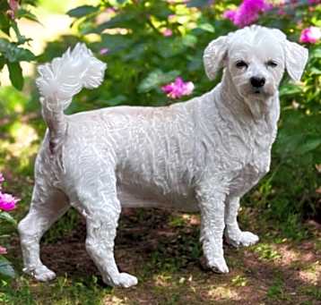 Photo of DAISY