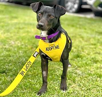 Photo of Winky