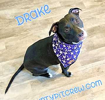 Photo of Drake