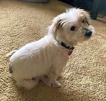 Photo of Molly