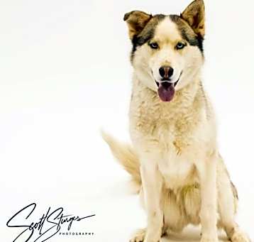 Photo of Oden