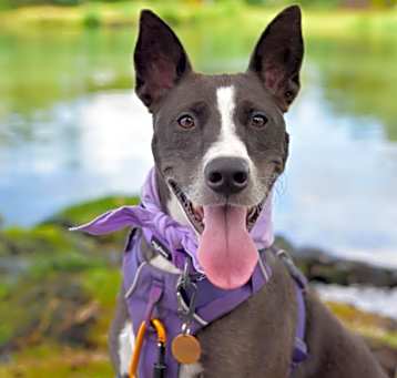 Photo of Ember