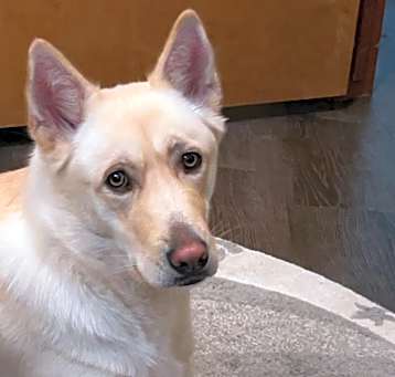 Photo of Oakley