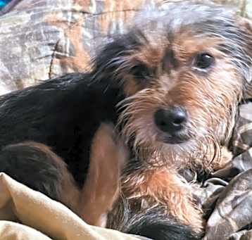 Photo of Reuben
