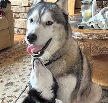 Photo of OLAF