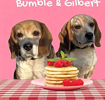 Photo of Bumper (bonded w/ Gilbert)