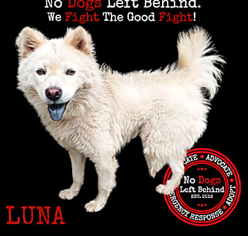 Photo of Luna 7387