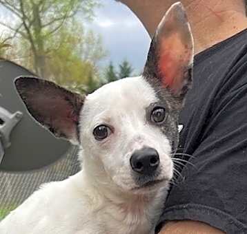 Photo of Lucy Lou