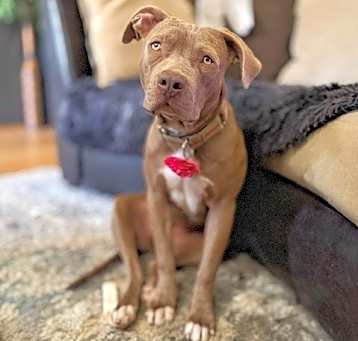 Photo of Gretel