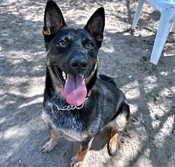 Photo of Lucia