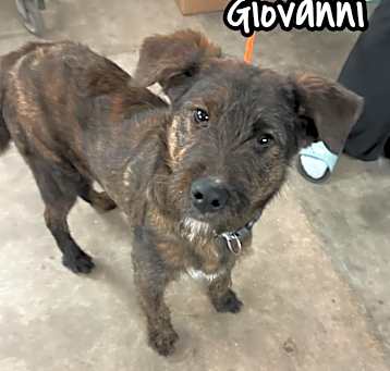 Photo of Giovanni