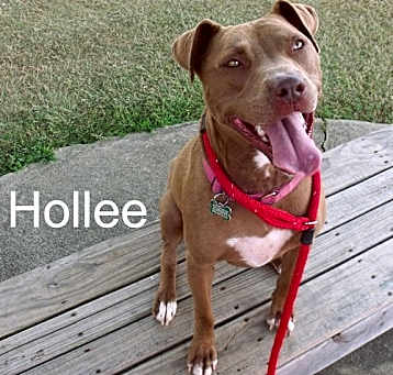 Photo of Hollee