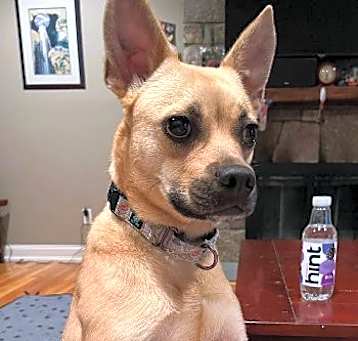 Photo of Mimi