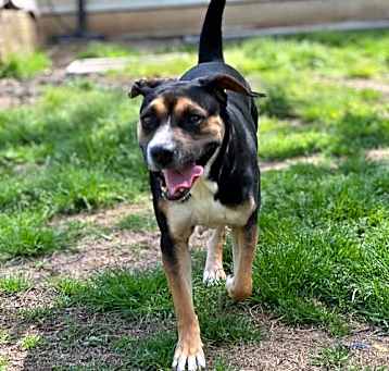 Photo of Molly Mae