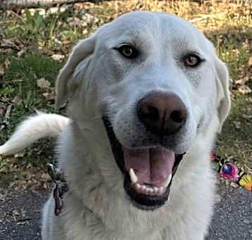 Photo of Fiona