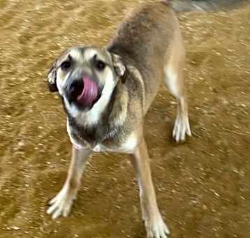 Photo of Bonnie