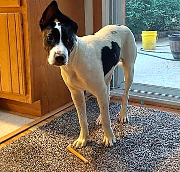 Photo of Floppy
