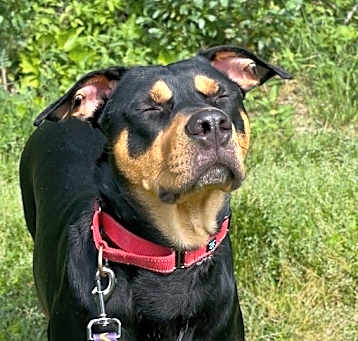 Photo of Bruce