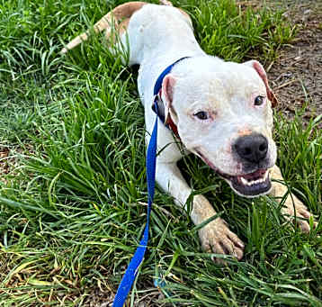 Photo of Ike