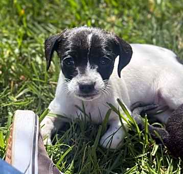 Photo of Baby COSMO