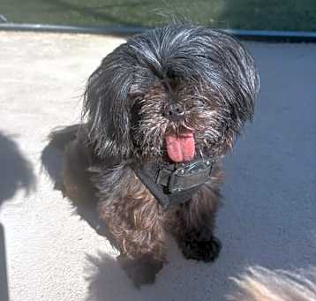 Photo of Jet
