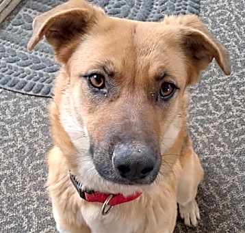 Photo of Penny