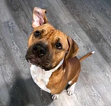 Photo of Zeus