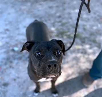 Photo of JAZZ