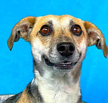 Photo of Mitzi
