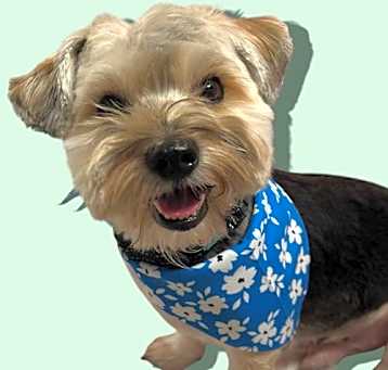 Photo of TATER